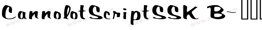 CannolotScriptSSK B字体转换